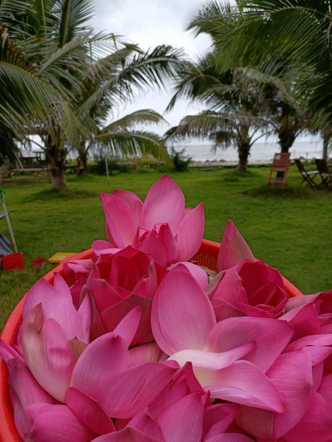 Nghi Duong Bien Ngoc Phan Thiet Exterior photo